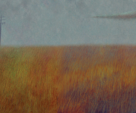 Дорога домой