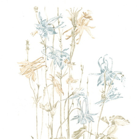 Полосная иллюстрация к книге Сэй Сенагон "Записки у изголовья"