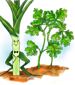 " Лук-порей" К стихам А.Старостиной