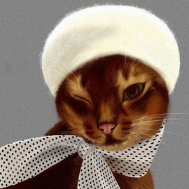 Котик в берете