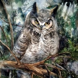 иллюстрация "Совушка"