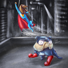 Собаки спасатели