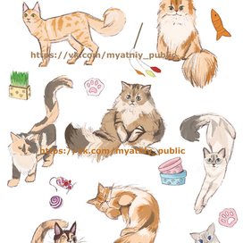 Стикеры котики