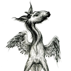 Чудо в перьях