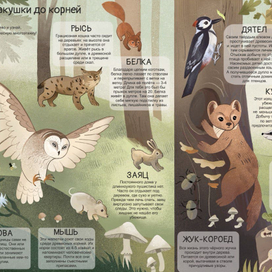 Виммельбух Времена года в лесу