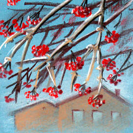 Зимняя калина