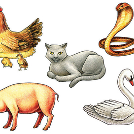 Предметы для пасьянса №4