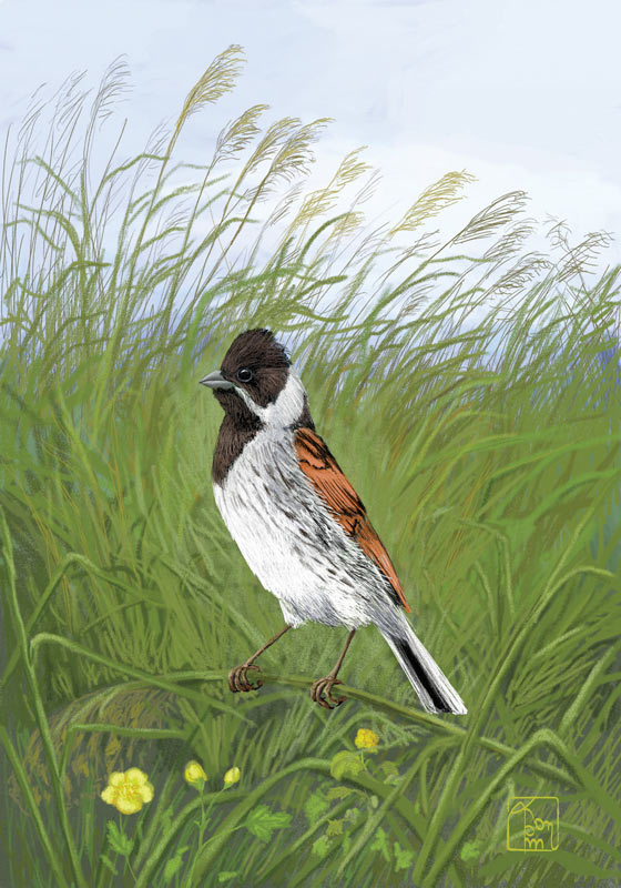 Это моя территория!