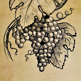 Зарисовка №4