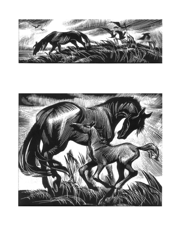 Илл. к повести Л.Толстого "Холстомер.