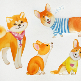 рыжие собаки