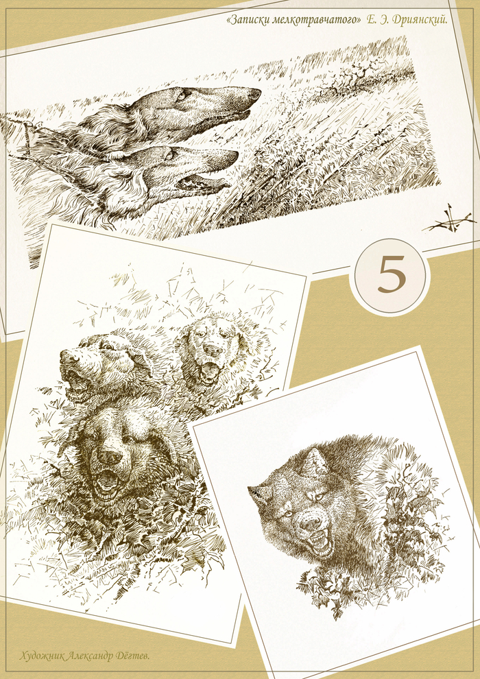 "Записки мелкотравчатого".  Е.Э. Дриянский. Глава 5.