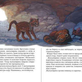 Коати и Жагуатирика 12