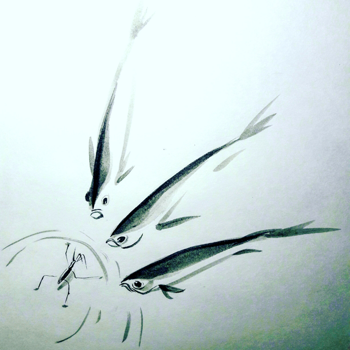 Встреча с водомеркой