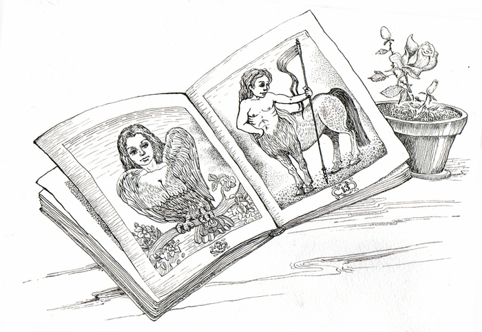 книга с экзотическими зверями и птицами