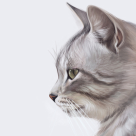 Серый профиль