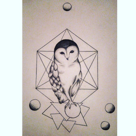 Сова с элементами графики