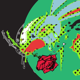 Rabbit without a head