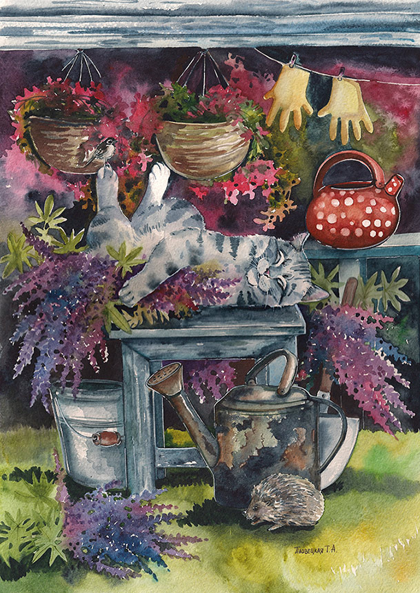 Люпиновый сон кота