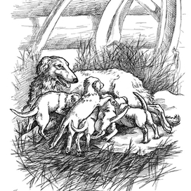 собака любимая