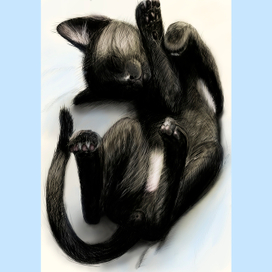 Портрет по фото