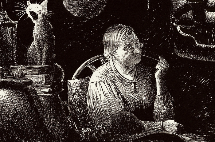 Черепаха Тортилла)