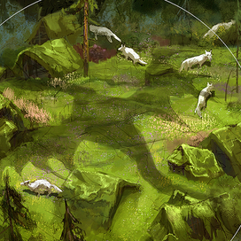 Тень дракона