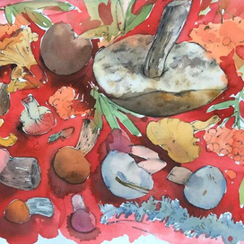 Грибной ковер