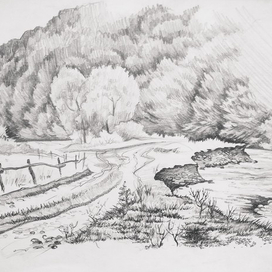 В предгорьях Карпат.