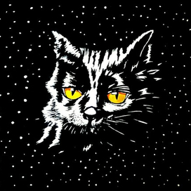 Космический кот Барсик