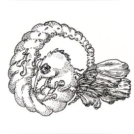 Мифический жучок 