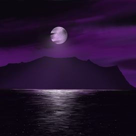 violet night