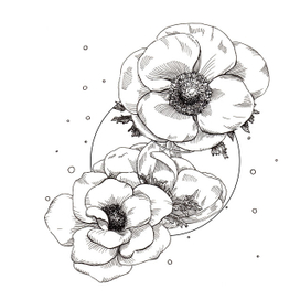 Анемоны в шаре