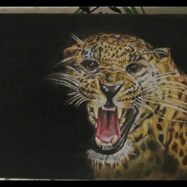 Леопард, оскал