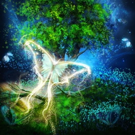 Волшебный лес