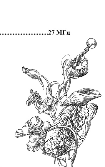 Шмутцтитул 2