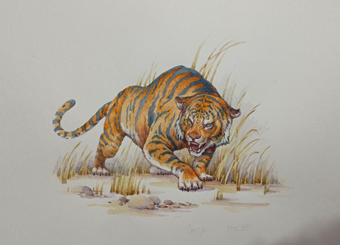 Тигр. К рассказам Сергеева