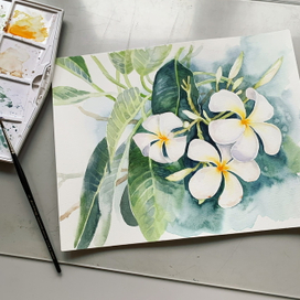 Жаркие страны