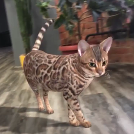 Виртуальный персонаж. Кейс AR (дополненная реальность)