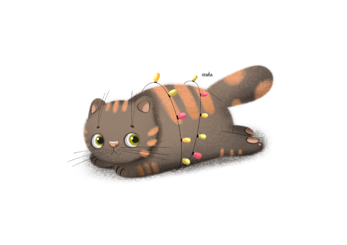 Праздничный котик