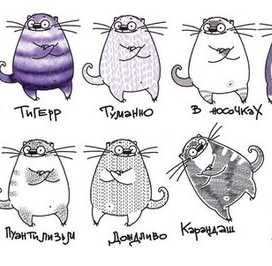 люди любят котиков