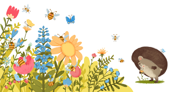 «Ёжик и солнечное лето» Для издательство Clever