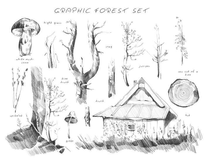 Лесные графические зарисовки 