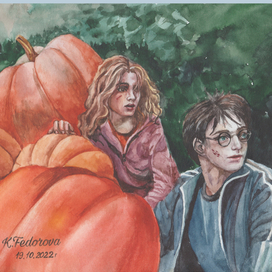 Гарии Поттер