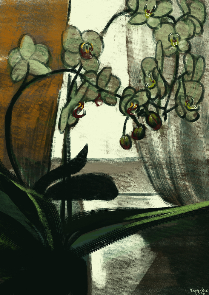 Набросок орхидеи