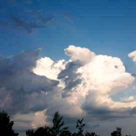 Вечерний разгон птиц