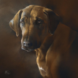 Риджбек Маня