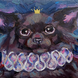 Сэр Джейсон