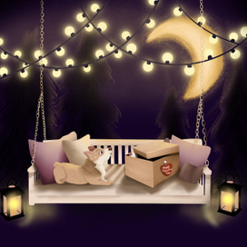 Один день из жизни корги