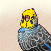 Комикс "Чика" о приключениях волнистого попугайчика